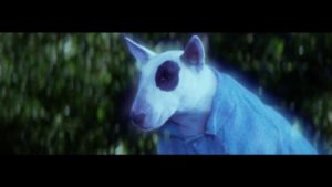 Super Bowl 2017 Brand Highlight &#8211; Bud Light